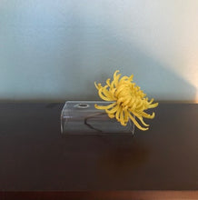 Load image into Gallery viewer, Flute Glass Vase
