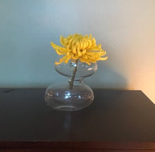 Load image into Gallery viewer, Raygun Glass Vase
